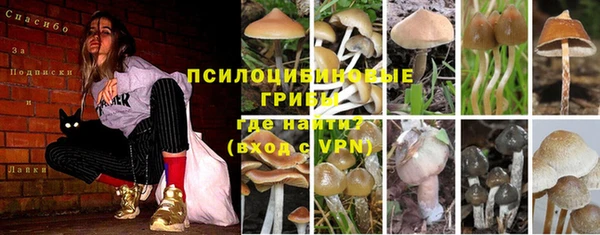 кокс Заволжск