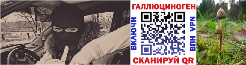 Галлюциногенные грибы Magic Shrooms  что такое   Судогда 