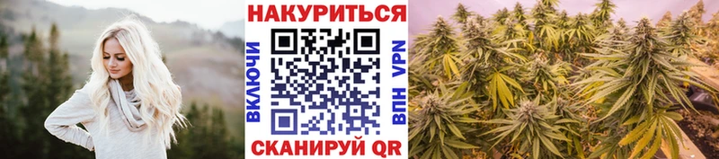 Бошки марихуана VHQ  Судогда 